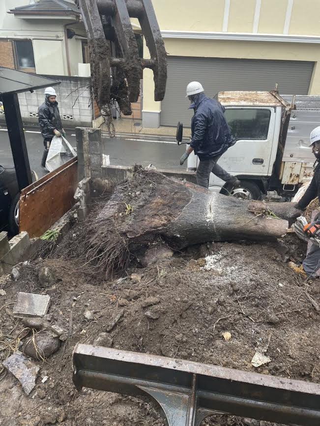 2025/04/02の解体状況：巨木根の除去作業