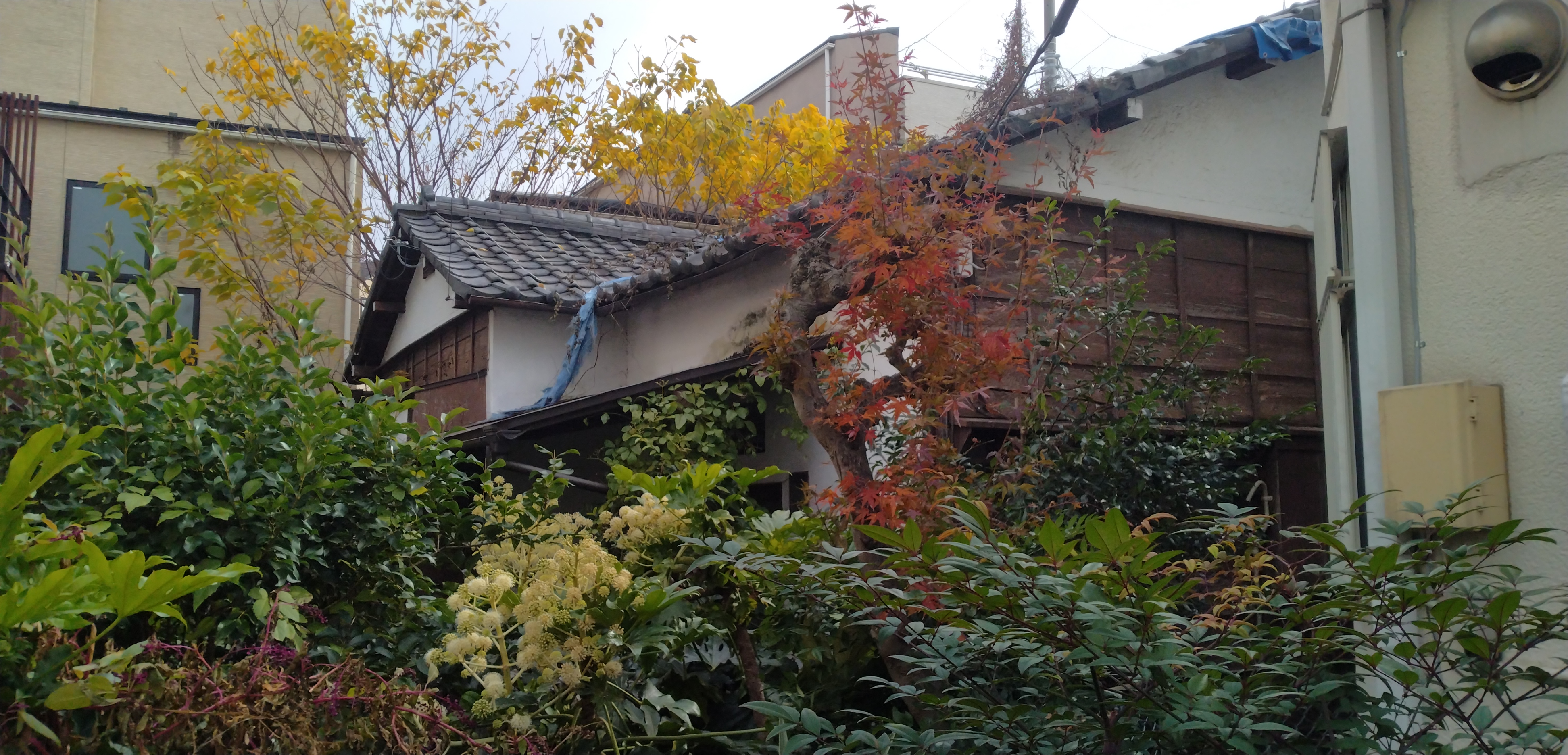 2025/03/31の解体状況：解体前